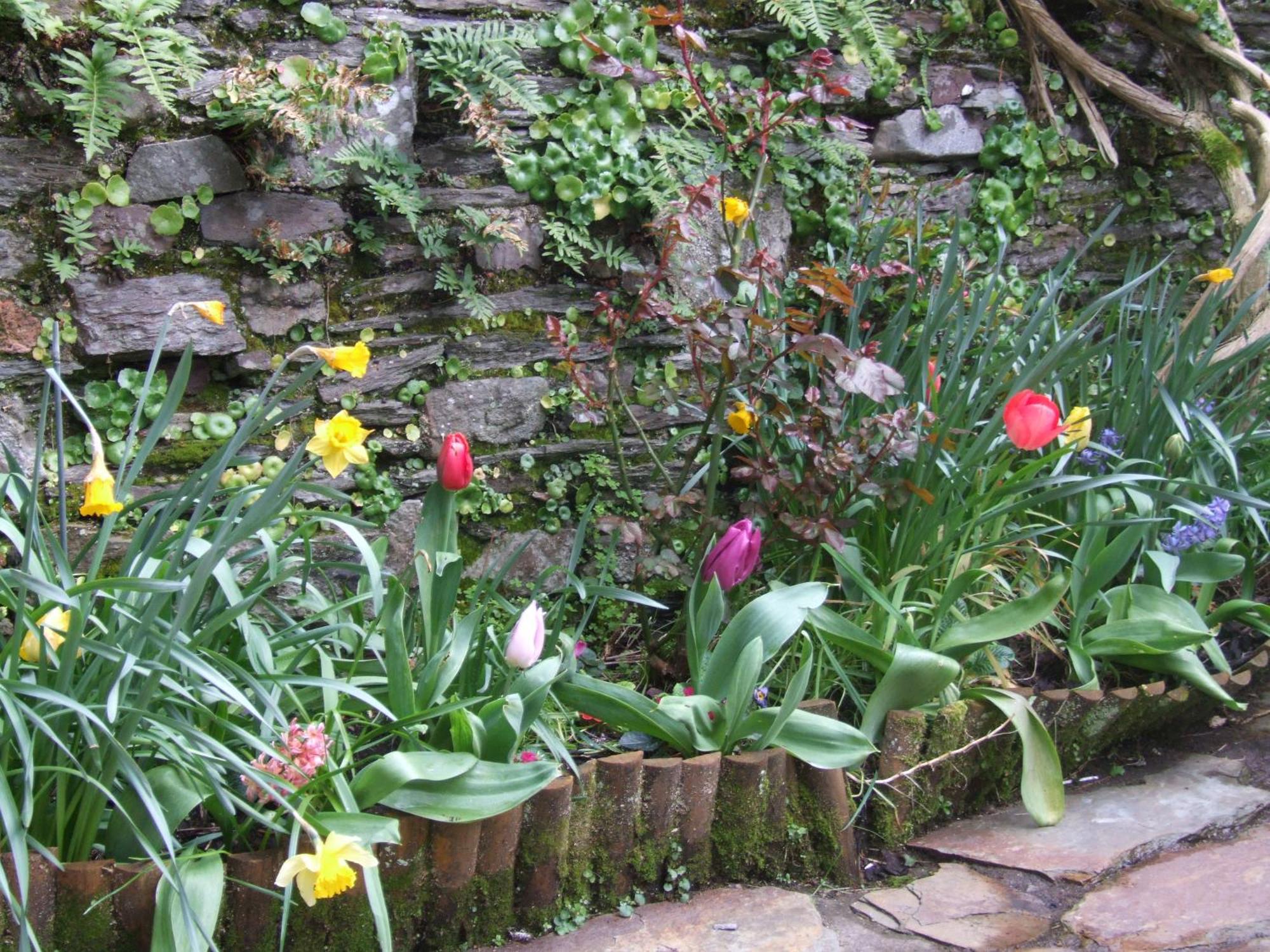 Inglenook Villa Kinsale Dış mekan fotoğraf